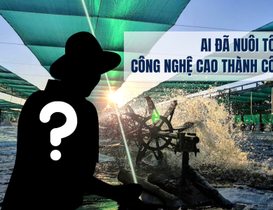 Ai đã nuôi tôm công nghệ cao thành công?