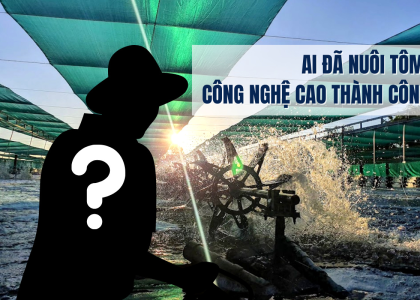 Ai đã nuôi tôm công nghệ cao thành công?