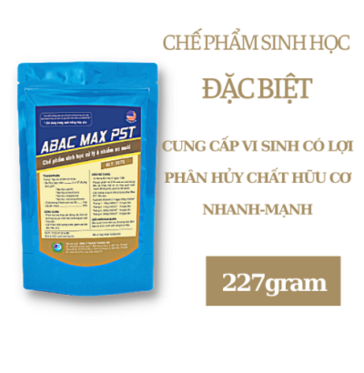 ABAC MAX PST