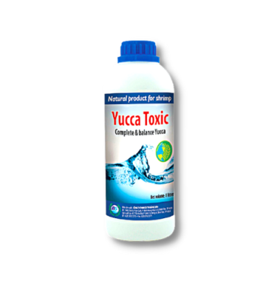 YUCCA TOXIC