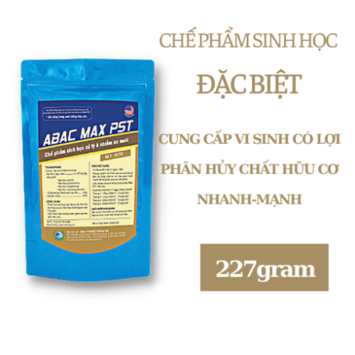 ABAC MAX PST