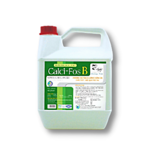CALCI – FOS B