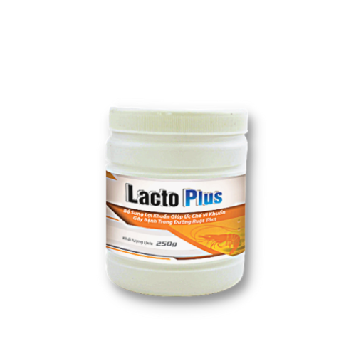 LACTO PLUS