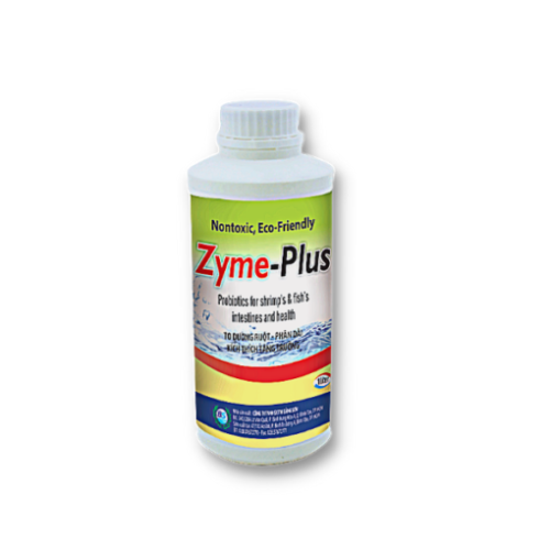 ZYME – PLUS1