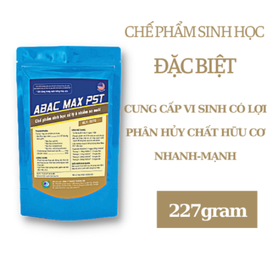 ABAC MAX PST
