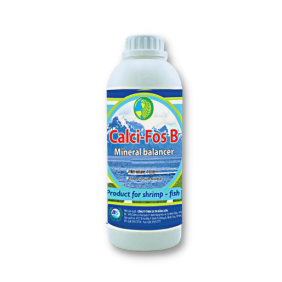 CALCI – FOS B